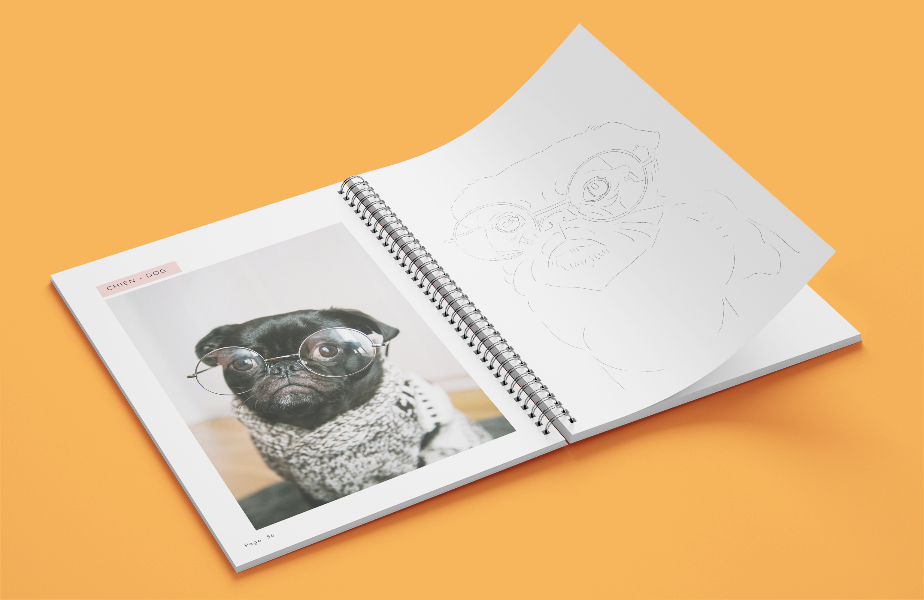 Realistic renderings book - Animals 